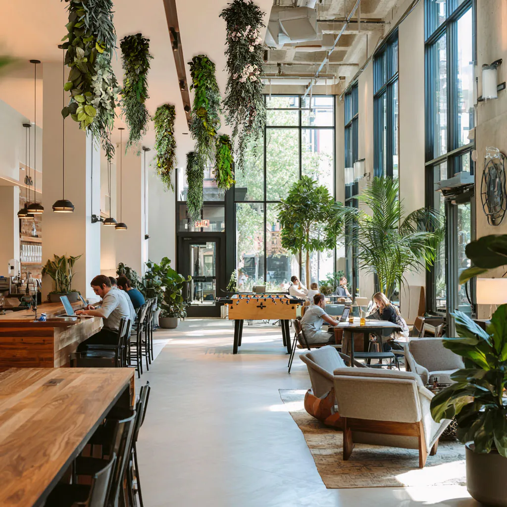 Hanging Garden Coworking Space Grüne Decke — Deckenbegrünung von MOOSMOOS